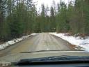 roadblock-moose.jpg